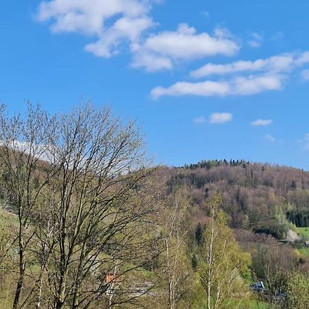 Lemon Lägenhet Ustroń Exteriör bild